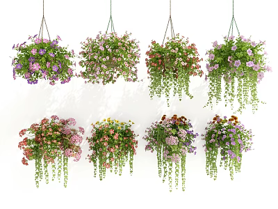 Hanging Potted Plants With Various Colorful Flowers And Trailing Greenery 3d model