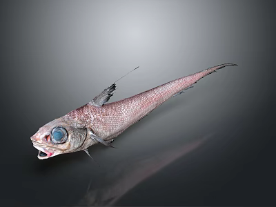 Fish Freshwater Fish Sea Fish Animal Game Animal Cartoon Animal Realistic Animal 3d model