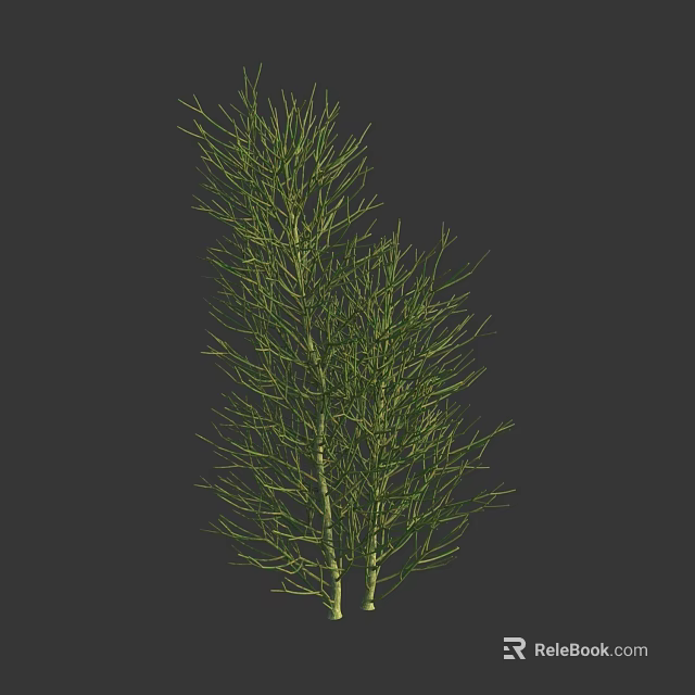 Green Bush With Slender Branches And Lush Foliage In Natural Setting 3d model