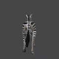 Realistic Standing Zebra Model With Detailed Black White Stripes And Lifelike Features