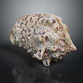 Artisan Handcrafted Shell Like Sculpture Carving With White Brown Speckled Texture Design