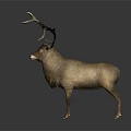 Decorative Deer Sculpture With Intricate Antlers And Striped Wooden Design