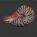 Decorative Nautilus Shell With Red And White Stripes And Tentacles On Gray Surface With Reflection 3d model