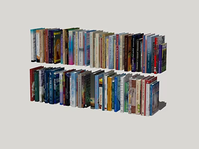 Colorful Diverse Books And Magazines Collection With Neatly Arranged Various Covers 3d model