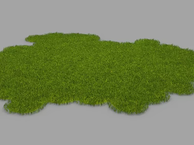 Fresh Green Grass Lawn with Natural Irregular Shape and Lush Vibrant Appearance 3d model