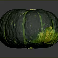 Green Pumpkin Plant With Green Stripes And Yellow Stem On Gray Surface