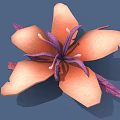 Vibrant Orange Petaled Flower With Purple Center Stamens And Delicate Green Leaves