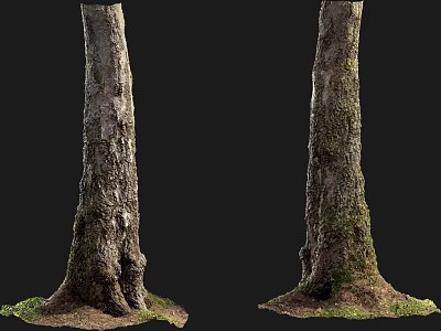 Arbor Trunks With Rough Bark Texture Moss Covered Base And Natural Details Against Dark Background 3d model