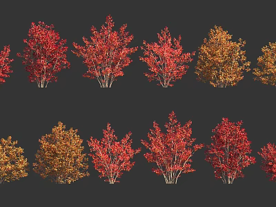 Colorful Autumn Trees With Red And Yellow Foliage Arranged In Rows On Dark Background 3d model