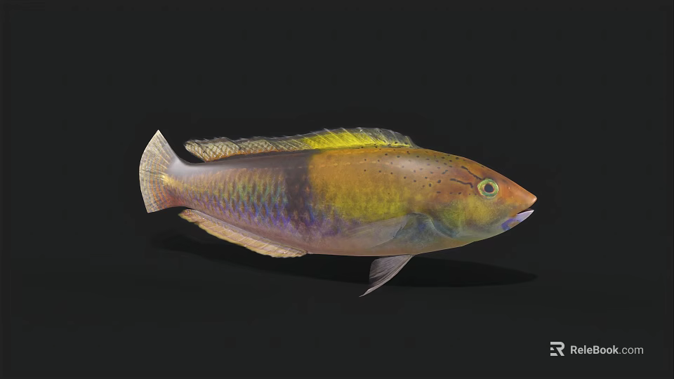 Vibrant Colorful Aquatic Fish With Yellow Green Blue Purple Body Fins And Tail 3d model 