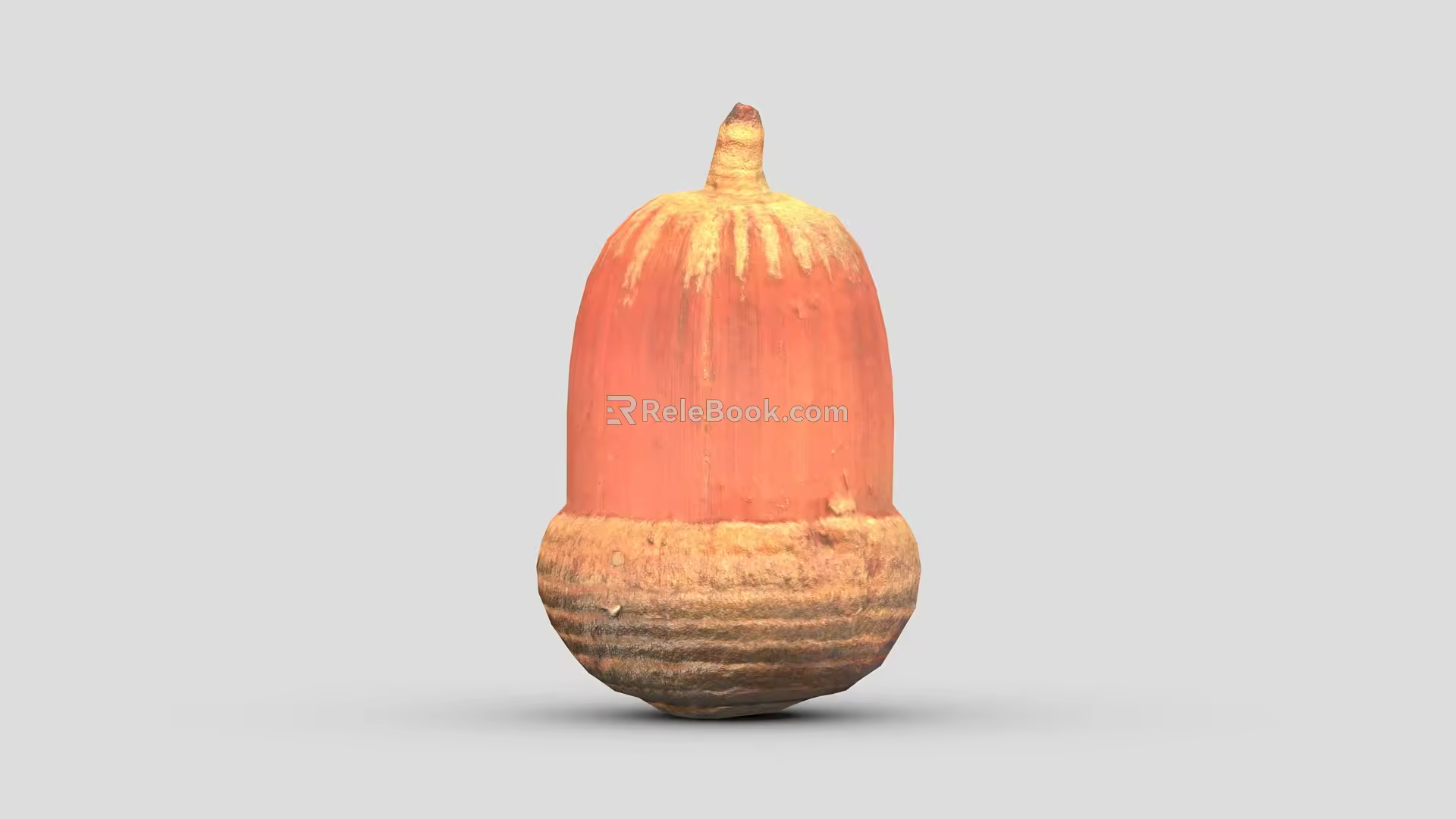 acorn tree acorn pine nut pine nut hazelnut 3d model