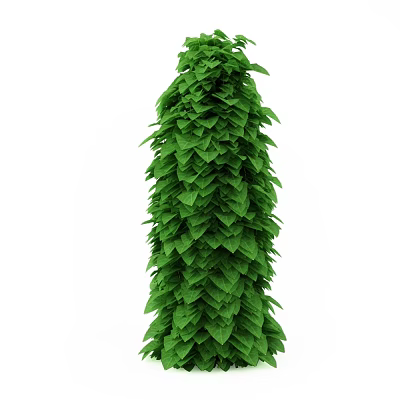 Lush Green Shrub With Dense Foliage For Garden Landscaping Design 3d model