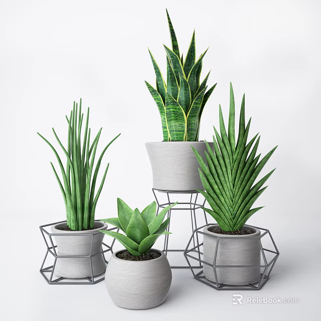 Various Long Spiky Leaf Potted Bonsai Plants With Geometric Metal Stands 3d model 