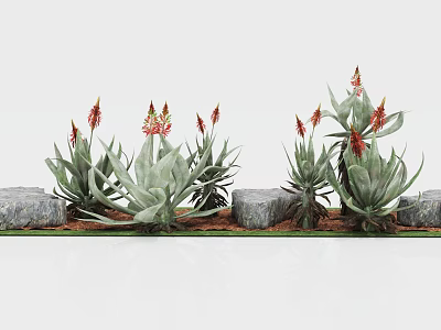 Succulent Plants with Green Leaves Red Flowers and Stones in Decorative Arrangement 3d model
