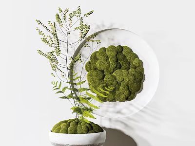 Bonsai Potted Plant With Green Moss And White Pot And Leafy Branches 3d model