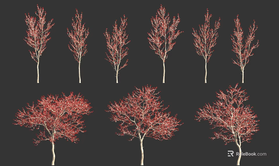 Red Leaf Trees In Varied Forms With Vibrant Foliage On Black Background 3d model 