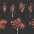 Red Leaf Trees In Varied Forms With Vibrant Foliage On Black Background 3d model