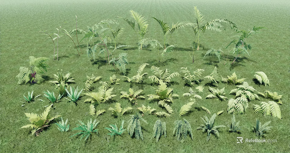 Lush Green Grass With Various Fern And Herbaceous Plants Boasting Diverse Leaf Structures 3d model 