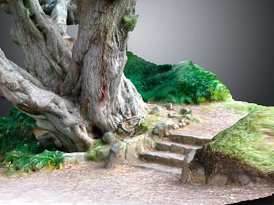Ancient Tree With Thick Gnarled Roots By Stone Steps And Lush Green Path 3d model