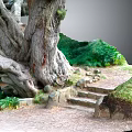 Ancient Tree With Thick Gnarled Roots By Stone Steps And Lush Green Path 3d model