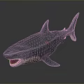 Shark Model With Open Mouth Sharp Teeth And Grey Body Texture