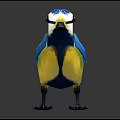 Colorful Flying Bird With Blue Yellow White Feathers Standing On Dark Background
