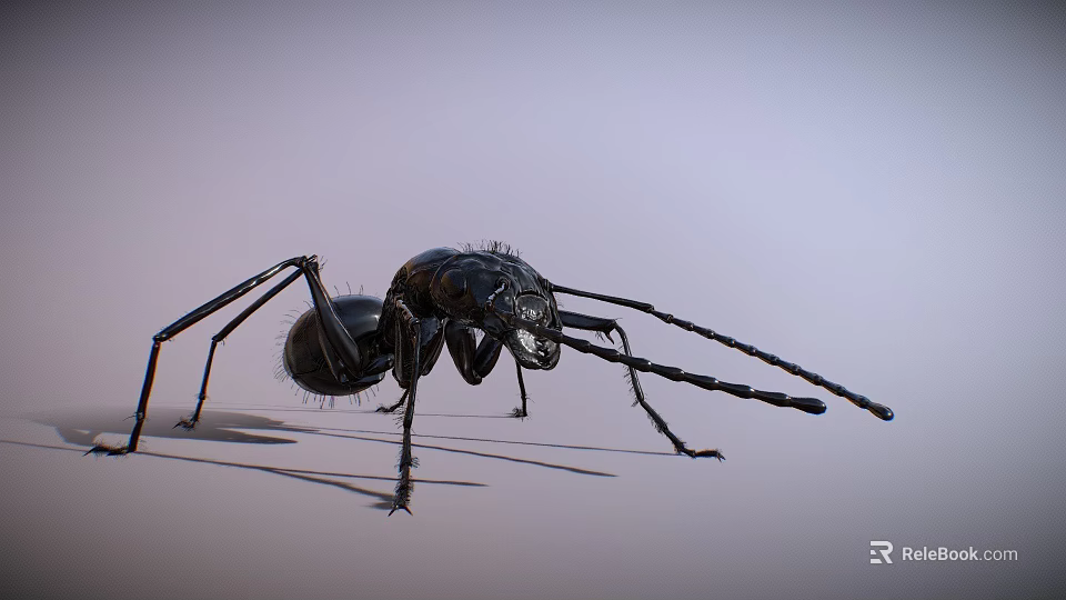 Detailed Macro View Of Black Ant With Long Antennae On Smooth Surface 3d model 