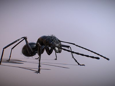 ant model