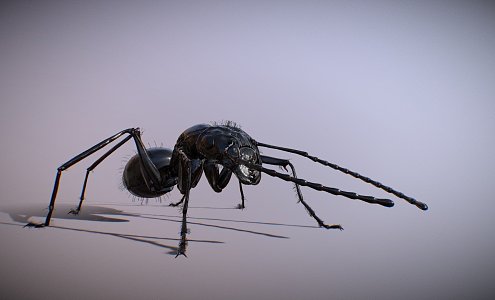 ant 3d model