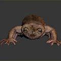 Realistic Brown Salamander With Long Tail Small Limbs And Detailed Texture On Gray Background 3d model