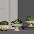 Designer Flower Plants in Decorative Ceramic Pots for Indoor Home Decor