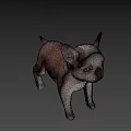 Realistic 3D Model of Brown and White French Bulldog Puppy Standing