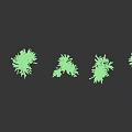 Five Small Green Shrubs Arranged In A Row On White Background 3d model