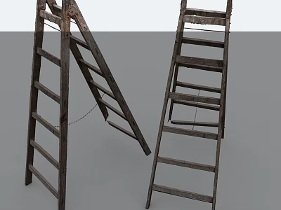 Two Vintage Wooden Ladders With Rustic Steps Standing Isolated On Gray Background 3d model