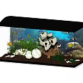 Elegant Aquarium Setup With Pirate Ship Ornament Aquatic Plants And Colorful Fish