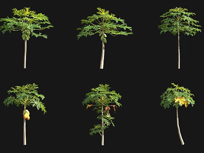 Various Arbor Trees With Green Leaves And Fruits In Different Growth Stages 3d model