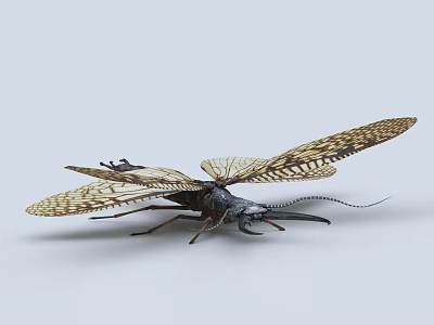 Winged Reptile With Reticulated Wings Long Antennae And Detailed Body On Light Background 3d model