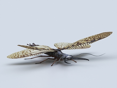 Modern insect hornfish fly 3d model