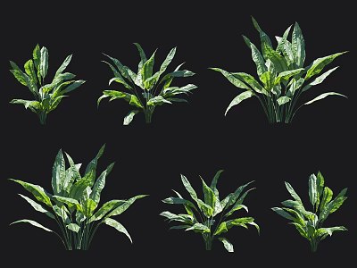 Fresh Lush Green Leafy Plants Arranged In Rows On Black Background 3d model