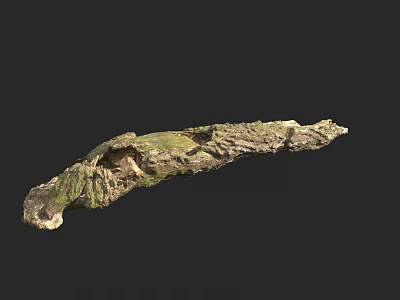 Natural Stone Wood Formation With Green Moss And Rough Surface Texture 3d model