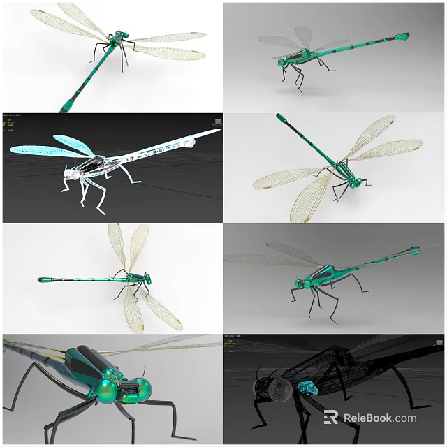 3D Rendered Dragonfly Models With Green Body White Transparent Wings And Metallic Details 3d model 