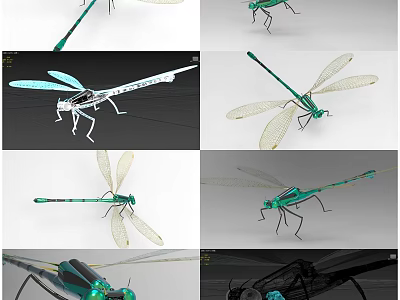 3D Rendered Dragonfly Models With Green Body White Transparent Wings And Metallic Details 3d model