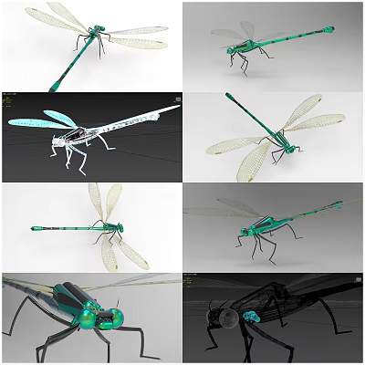 3D Rendered Dragonfly Models With Green Body White Transparent Wings And Metallic Details 3d model