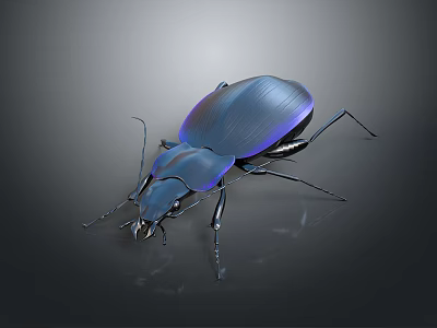 Metallic Blue Beetle With Shiny Exoskeleton On Dark Background Close Up 3d model