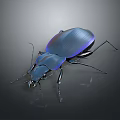 Metallic Blue Beetle With Shiny Exoskeleton On Dark Background Close Up 3d model