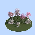 Beautiful Plant Combination With Pink And White Flowering Trees On Green Grassland