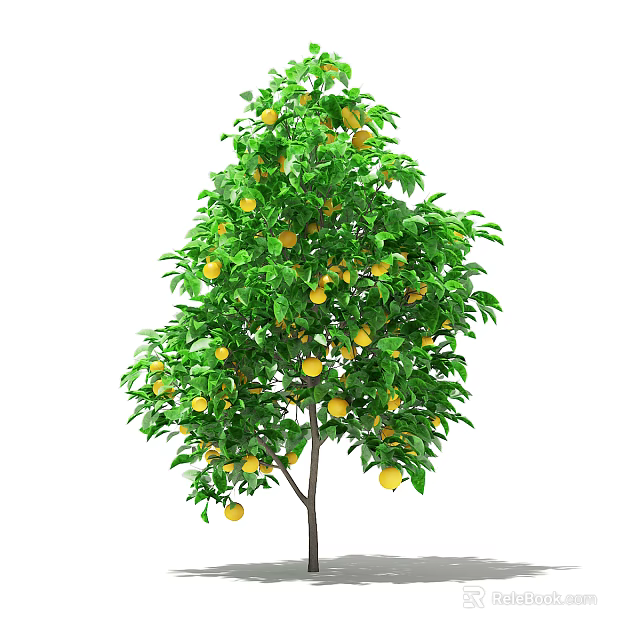 Lush Fruit Tree With Dense Green Leaves And Ripe Yellow Fruits Outdoors 3d model 