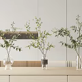 Three Transparent Glass Vases With Green Branches On Light Wooden Cabinet Against Light Wall