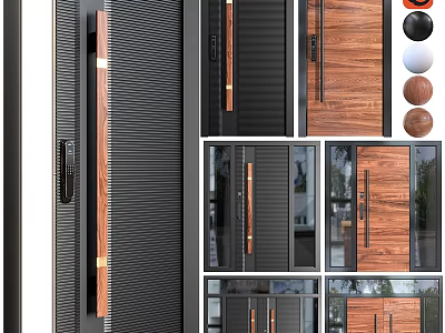 Modern Swing Door Designs With Wooden Panels And Black Frames For Interior Exterior 3d model
