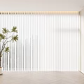 White Curtains Interior With Green Plant Black Shelves And Wooden Floor